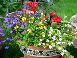 Blumen